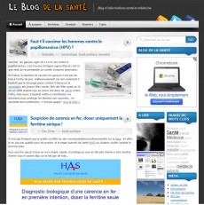 blog-de-la-santé décembre 2011