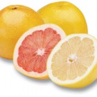 pamplemousse