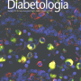 diabetologia