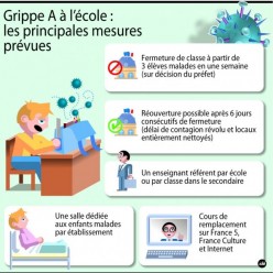 grippe A plan de la rentrée