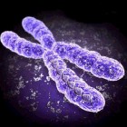 telomerase