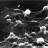 neurona
