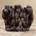 3 singes communication