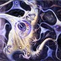 maladie d'Alzheimer, neurones