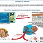 Video vigilance Alzheimer