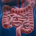 dépistage cancer colorectal