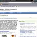 NHIS, modèle site web anglais