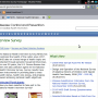 NHIS, modèle site web anglais