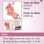 Baby Bump : application iphone de suivi de grossesse