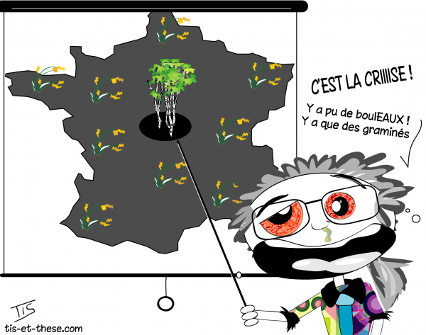 carte météo des allergies 