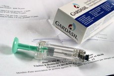 gardasil pour homme gardasil pour homme